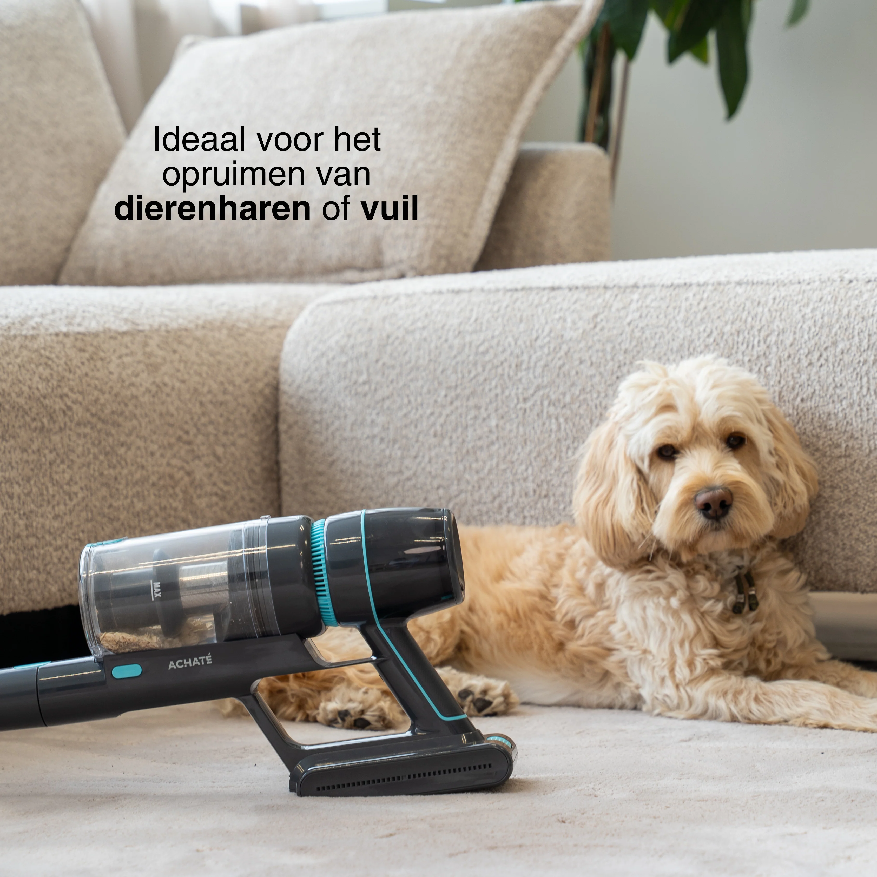 Achaté Steelstofzuiger PRO - Image 6